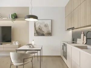 Prodej bytu 1+kk, Brno, Rybářská, 40 m2