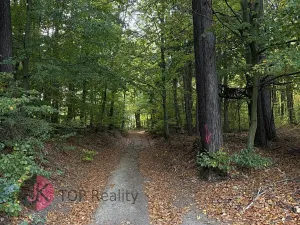 Prodej rodinného domu, Litvínov, 115 m2