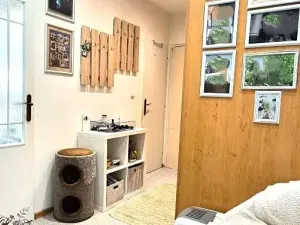 Prodej bytu 2+1, Rokycany, Soukenická, 67 m2