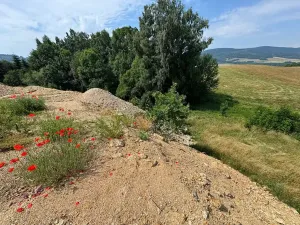Prodej pozemku pro bydlení, Dlouhý Most, 4689 m2