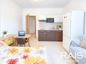 Prodej bytu 1+kk, Brno, Vranovská, 30 m2