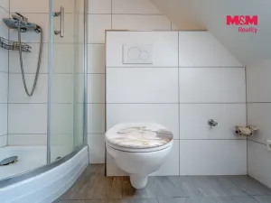 Pronájem bytu 3+kk, Bor, Školní, 55 m2