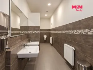 Pronájem kanceláře, Praha - Libeň, Drahobejlova, 706 m2
