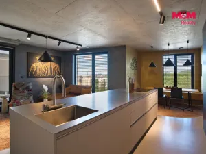Prodej bytu 3+kk, Ostrava, F. X. Riepla, 133 m2