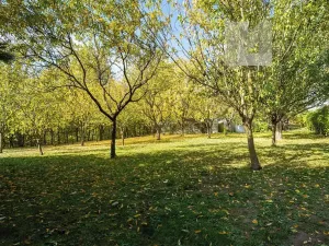 Prodej rodinného domu, Koryčany, 296 m2