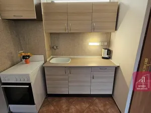 Pronájem bytu 1+1, Brno, Herčíkova, 35 m2