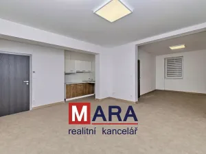 Pronájem bytu 1+kk, Olomouc, Přichystalova, 47 m2