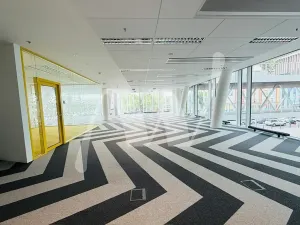 Pronájem kanceláře, Praha - Holešovice, Plynární, 648 m2
