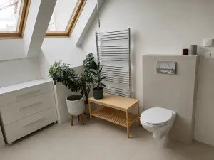 Prodej bytu 4+kk, Brno, Gorkého, 105 m2