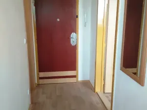 Pronájem bytu 1+1, Olomouc, Nešporova, 36 m2