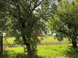 Prodej pozemku pro bydlení, Stračov, 8252 m2