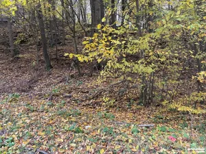 Prodej pozemku pro bydlení, Štěchovice, 852 m2