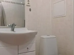 Pronájem bytu 1+1, Děčín - Děčín VI-Letná, Želenická, 35 m2