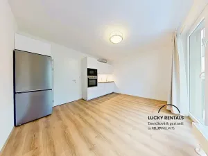 Pronájem bytu 1+kk, Kralupy nad Vltavou, Nádražní, 24 m2