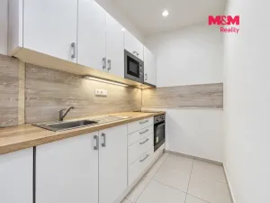 Pronájem bytu 1+kk, Praha - Vinohrady, Vinohradská, 38 m2