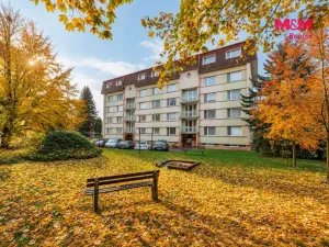 Prodej bytu 2+1, Žamberk, U Polikliniky, 57 m2