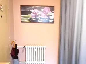 Prodej bytu 2+1, Kopřivnice, Obránců míru, 54 m2