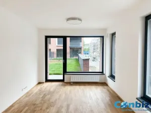 Pronájem bytu 2+kk, Praha - Karlín, Švarcova, 57 m2