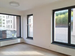 Pronájem bytu 2+kk, Praha - Karlín, Švarcova, 57 m2