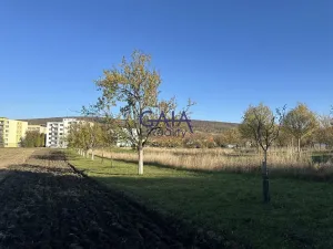Prodej pole, Velká nad Veličkou, 1517 m2