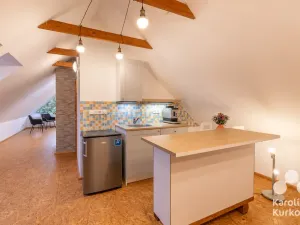Pronájem rodinného domu, Káraný, K Přívozu, 165 m2