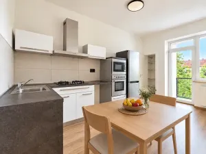 Prodej bytu 2+kk, Brno, 48 m2