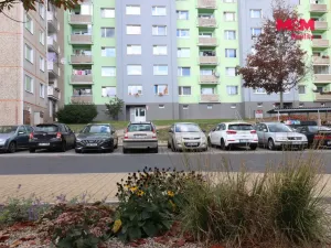 Prodej bytu 3+1, Cheb, Dvořákova, 75 m2