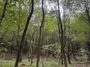 Prodej louky, Vizovice, 40200 m2