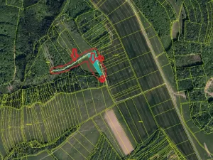 Prodej lesa, Velký Ořechov, 3977 m2