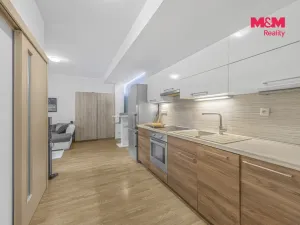 Prodej bytu 2+kk, Hradec Králové, Resslova, 38 m2