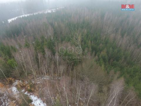 Prodej lesa, Česká Třebová, 7313 m2