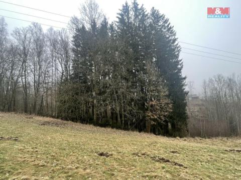 Prodej lesa, Košťálov, 33054 m2
