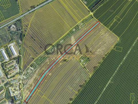 Prodej zemědělské půdy, Hrušky, 9415 m2