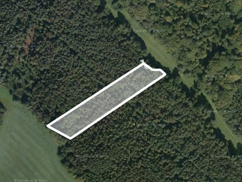 Prodej lesa, Tísek, 9463 m2