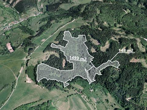 Prodej podílu lesa, Valašská Senice, 1641 m2