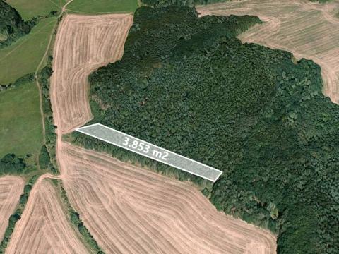 Prodej lesa, Nezdice, 3853 m2