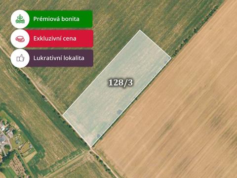 Prodej zemědělské půdy, Střížovice, 38253 m2
