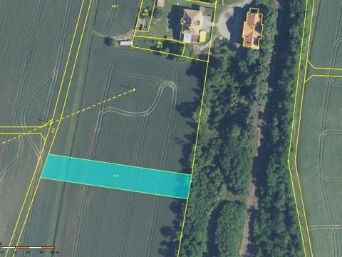 Prodej zemědělské půdy, Břežany, 5001 m2