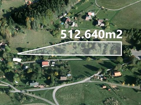 Prodej trvalého travního porostu, Česká Třebová, 4272 m2