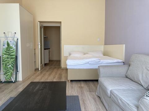 Pronájem bytu 1+1, Praha - Vinohrady, Máchova, 40 m2