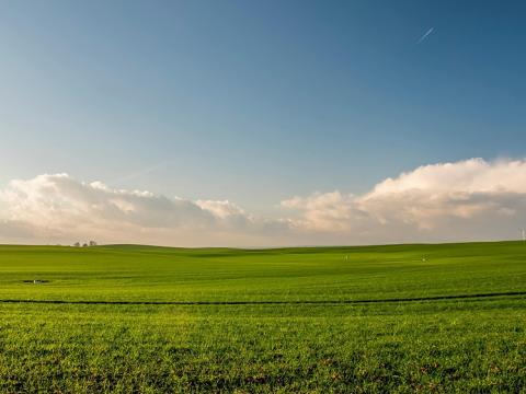 Prodej pole, Přísnotice, 1442 m2