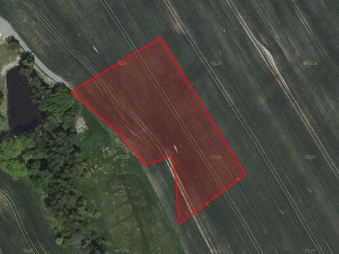 Prodej zemědělské půdy, Zbraslavice, 6231 m2