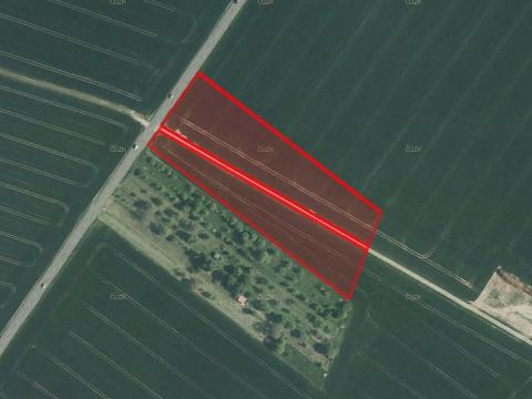 Prodej zemědělské půdy, Bochoř, 6461 m2