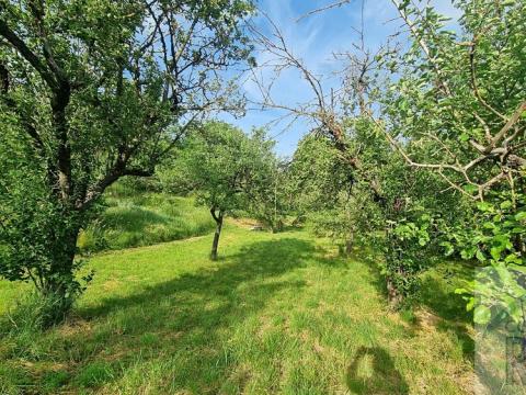 Prodej zahrady, Pozořice, 1052 m2