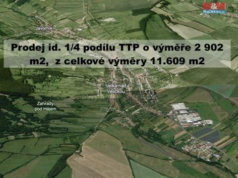 Prodej trvalého travního porostu, Velká nad Veličkou, 2902 m2