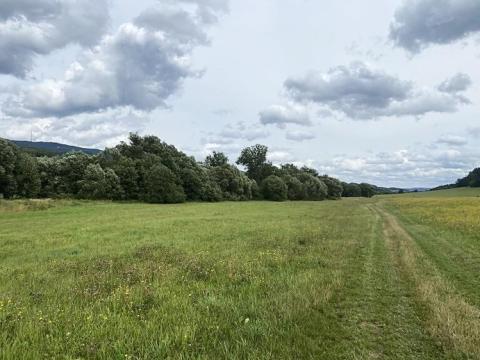 Prodej trvalého travního porostu, Chvalšiny, 21761 m2