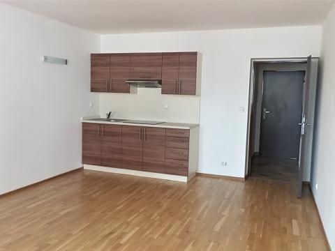 Pronájem bytu 1+kk, Litoměřice, Velká Dominikánská, 29 m2