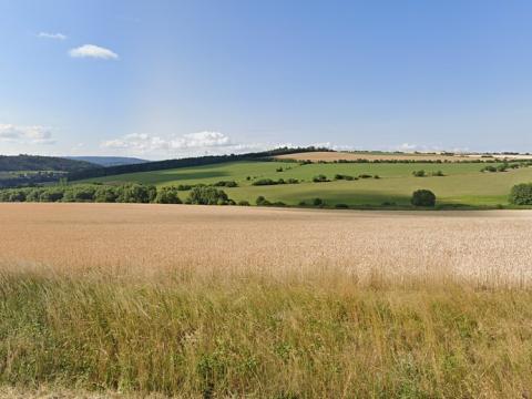 Prodej zemědělské půdy, Žinkovy, 17323 m2