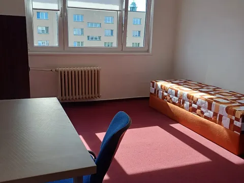 Pronájem bytu 1+kk, Ostrava, Bohumínská, 19 m2