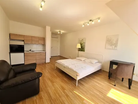 Pronájem bytu 1+kk, Brno, Masarykova, 33 m2